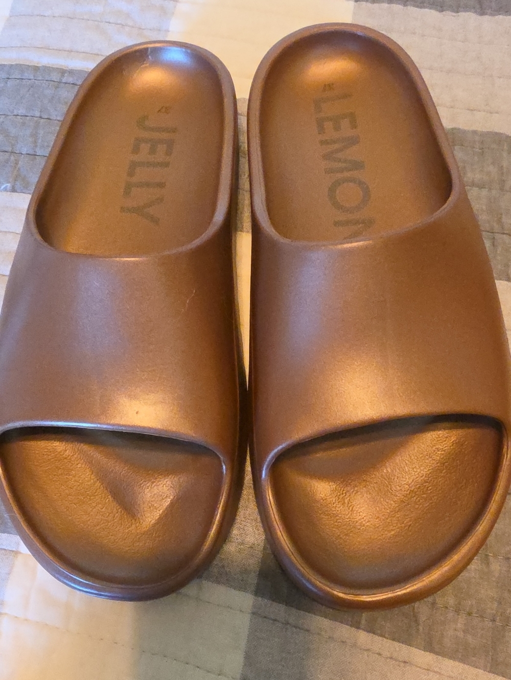 Lemon Jelly Azela Slide Sandals in Bronze